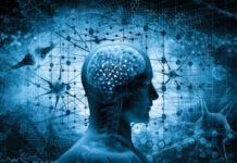 Studim/ Kujtimet e zhdukura mund të rizgjohen