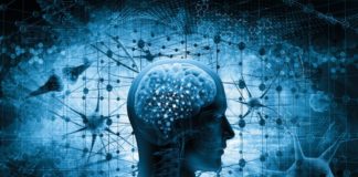 Studim/ Kujtimet e zhdukura mund të rizgjohen