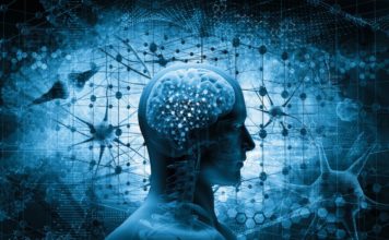 Studim/ Kujtimet e zhdukura mund të rizgjohen