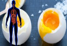 Studimi i ri/ A e dini çfarë i ndodh trupit nëse konsumoni dy vezë?