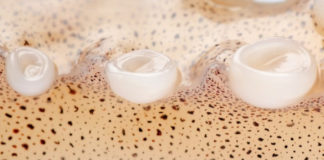 Zbulohet alternativa ekologjike për plastikën