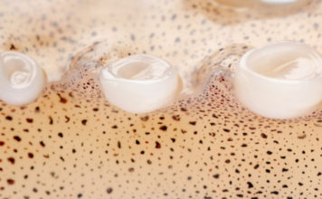 Zbulohet alternativa ekologjike për plastikën