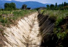 Banka Botërore, 3.4 mln dollarë për kanalet vaditëse në Lushnje