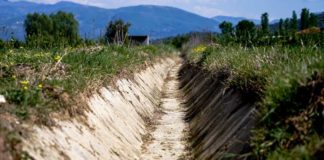 Banka Botërore, 3.4 mln dollarë për kanalet vaditëse në Lushnje