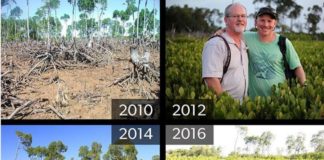 Këto foto ju ftojnë për reflektim..