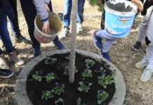 Lule në vend të plehrave/ 198 venddepozitime të mbetjeve urbane do të kthehen në parqe