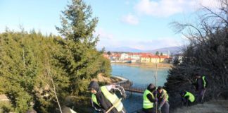 Foto/ Mbillen 1 mijë drurë akacie në kurorën e gjelbër të Pukës