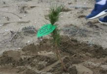 Gjesti pozitiv i nxënësve të “Qemal Stafës”, japin mesazhe përmes punës