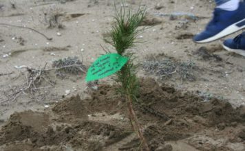 Gjesti pozitiv i nxënësve të “Qemal Stafës”, japin mesazhe përmes punës