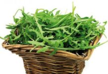 Rukola, bima magjike që sjell përfitime të mëdha për shëndetin