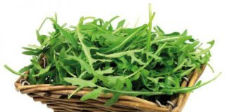 Rukola, bima magjike që sjell përfitime të mëdha për shëndetin