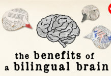 Ja sekreti për të ruajtur produktivitetin e mendjes