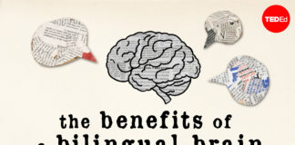 Ja sekreti për të ruajtur produktivitetin e mendjes