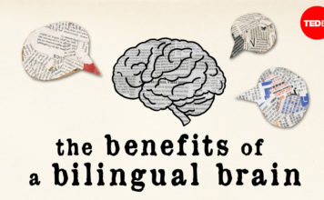 Ja sekreti për të ruajtur produktivitetin e mendjes