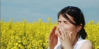 Si të ruhemi nga alergjitë e pranverës, disa këshilla