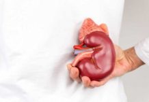 Si të mbroni veshkat! Veprimet që i dëmtojnë