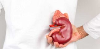 Si të mbroni veshkat! Veprimet që i dëmtojnë