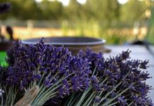 “Made in Albania”, prodhimet shqiptare në panairin më të rëndësishëm ndërkombëtar të ushqimit