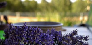 “Made in Albania”, prodhimet shqiptare në panairin më të rëndësishëm ndërkombëtar të ushqimit