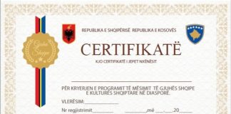VKM/ Krijohet regjistri shtetëror i mësuesve të gjuhës shqipe për nxënësit në Diasporë
