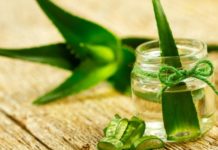 Përdorimet e aloe verës për një lëkurë të shëndetshme