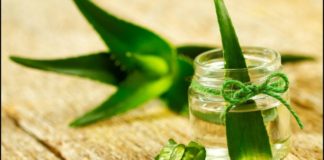 Përdorimet e aloe verës për një lëkurë të shëndetshme
