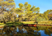 Karavastaja, laguna me rëndësi ndërkombëtare