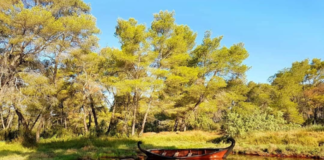 Karavastaja, laguna me rëndësi ndërkombëtare