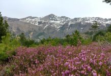 Mali i Munellës, prezantohet propozimi për ta shpallur zonë të mbrojtur
