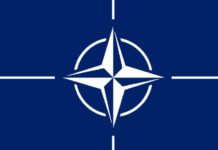 VIDEO/ 10 vjet në NATO! Disa fakte që duhet të dini për Shqipërinë