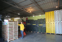 Nisma e një gruaje ndihmon 1300 fermerë