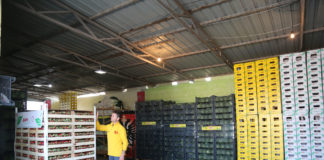 Nisma e një gruaje ndihmon 1300 fermerë