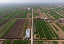 Rehabilitohet rruga bujqësore Çermë e Sipërme