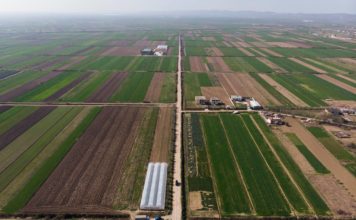 Mundësi për fermerët, hapen aplikimet për grante nga IPARD II. Kush përfiton dhe afatet