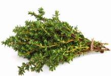 Ja efektet pozitive të trumzës në shëndetin tonë