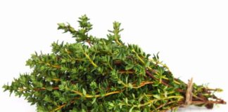 Ja efektet pozitive të trumzës në shëndetin tonë