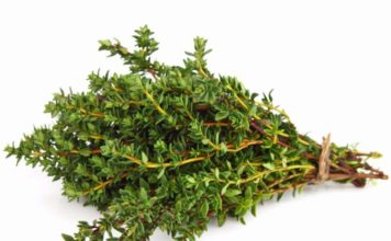 Ja efektet pozitive të trumzës në shëndetin tonë