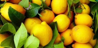 Përfitimet e jashtëzakonshme që kemi nga limoni