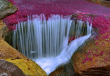 VIDEO/ Pamje mahnitëse: Lumi shumëngjyrësh, më i bukur në botë