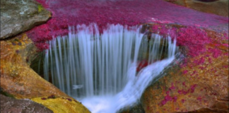 VIDEO/ Pamje mahnitëse: Lumi shumëngjyrësh, më i bukur në botë