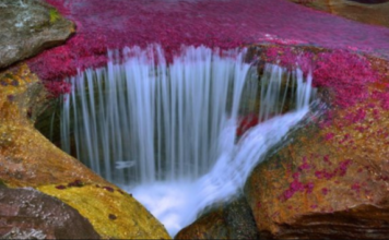 VIDEO/ Pamje mahnitëse: Lumi shumëngjyrësh, më i bukur në botë
