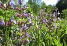 Bimët mjekësore “Made in Albania”, rriten eksportet dhe punësimi