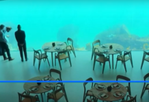 Video/ Norvegjia hap restorantin e parë nënujor në Europë