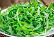 Cilat janë vetitë e fuqishme të rukolës në organizëm