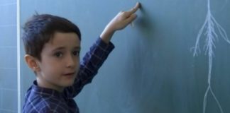 VIDEO/ Njihuni me 8 vjeçarin shqiptar, testet e të cilit vënë në vështirësi edhe mësuesit