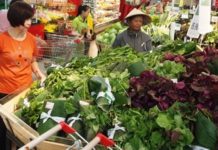 Ekologjike, gjethe në vend të qeseve plastike