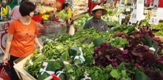 Ekologjike, gjethe në vend të qeseve plastike