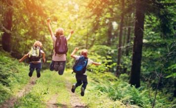 Mjaftojnë 20 minuta në natyrë për të ulur nivelin e stresit