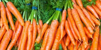 Shëndeti/ Ja pse mund të përdoren barishtet e karrotave