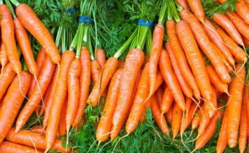 Shëndeti/ Ja pse mund të përdoren barishtet e karrotave